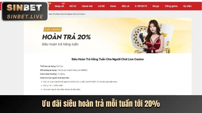 Hoàn Trả Cược Thua